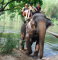 Kingdom of Thailand/Королевство Таиланд