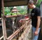 Kingdom of Thailand/Королевство Таиланд